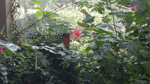 Foundation «The Henry Doorly Zoo», reviews and photos, 3701 S 10th St, Omaha, NE 68107, USA