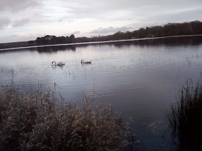 Lac du Bel-air à Priziac