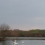 Photo n°4 de l'avis de Maria.i fait le 17/03/2019 à 17:54 sur le  Trattoria da Claudio 1999 à Grazie