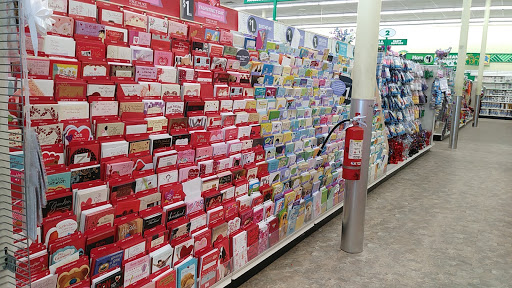 Dollar Store «Dollar Tree», reviews and photos, 174 Chase Ave, Waterbury, CT 06704, USA