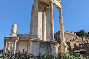 Temple of Vesta image