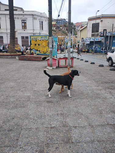 Plaza Echaurren - Mercado