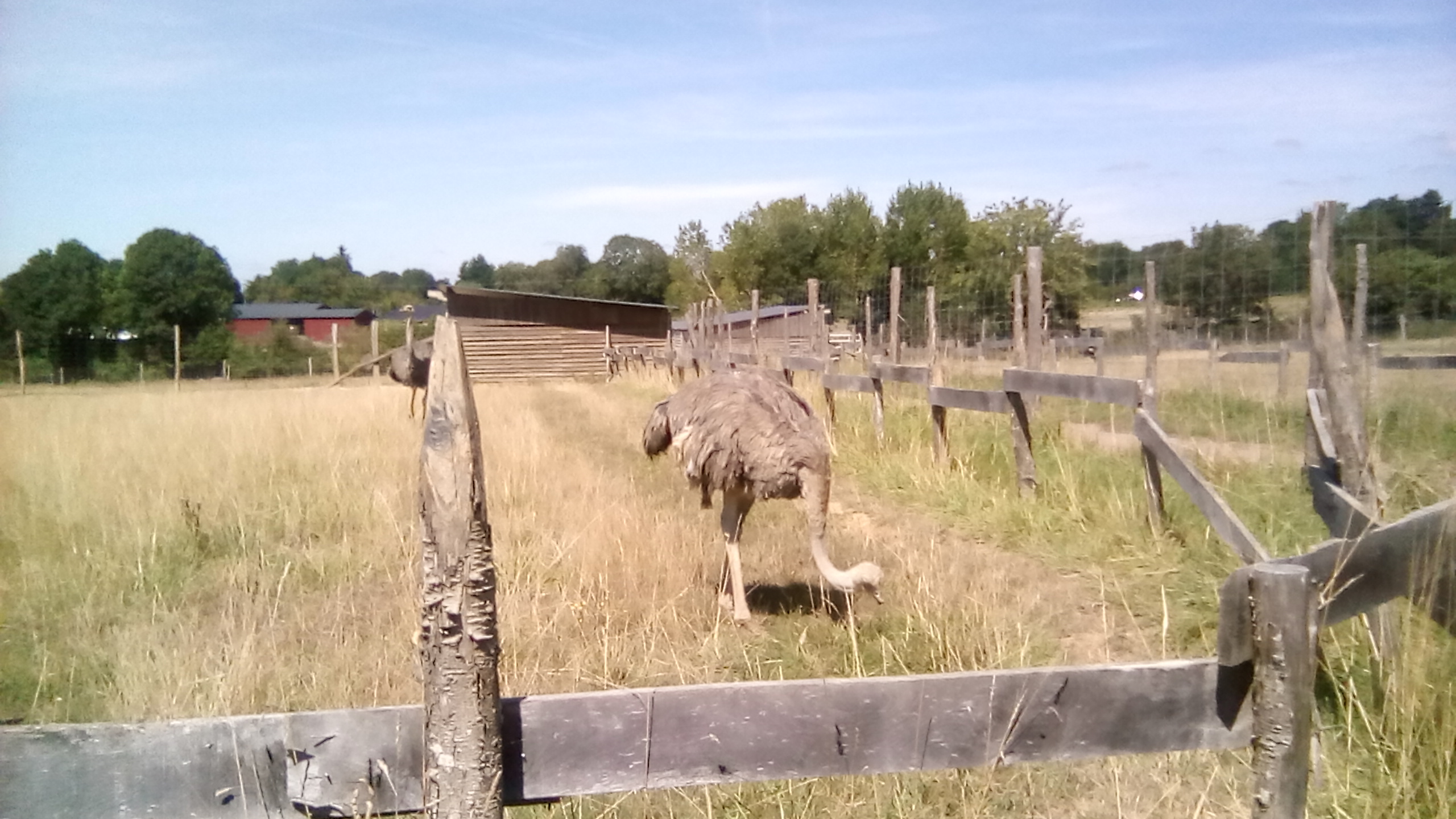 Photo n° 2 de l'avis de Jessika.i fait le 13/08/2018 à 17:23