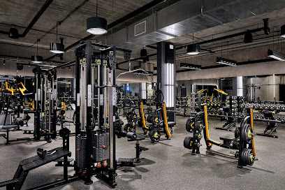 THE BUNKER GYM