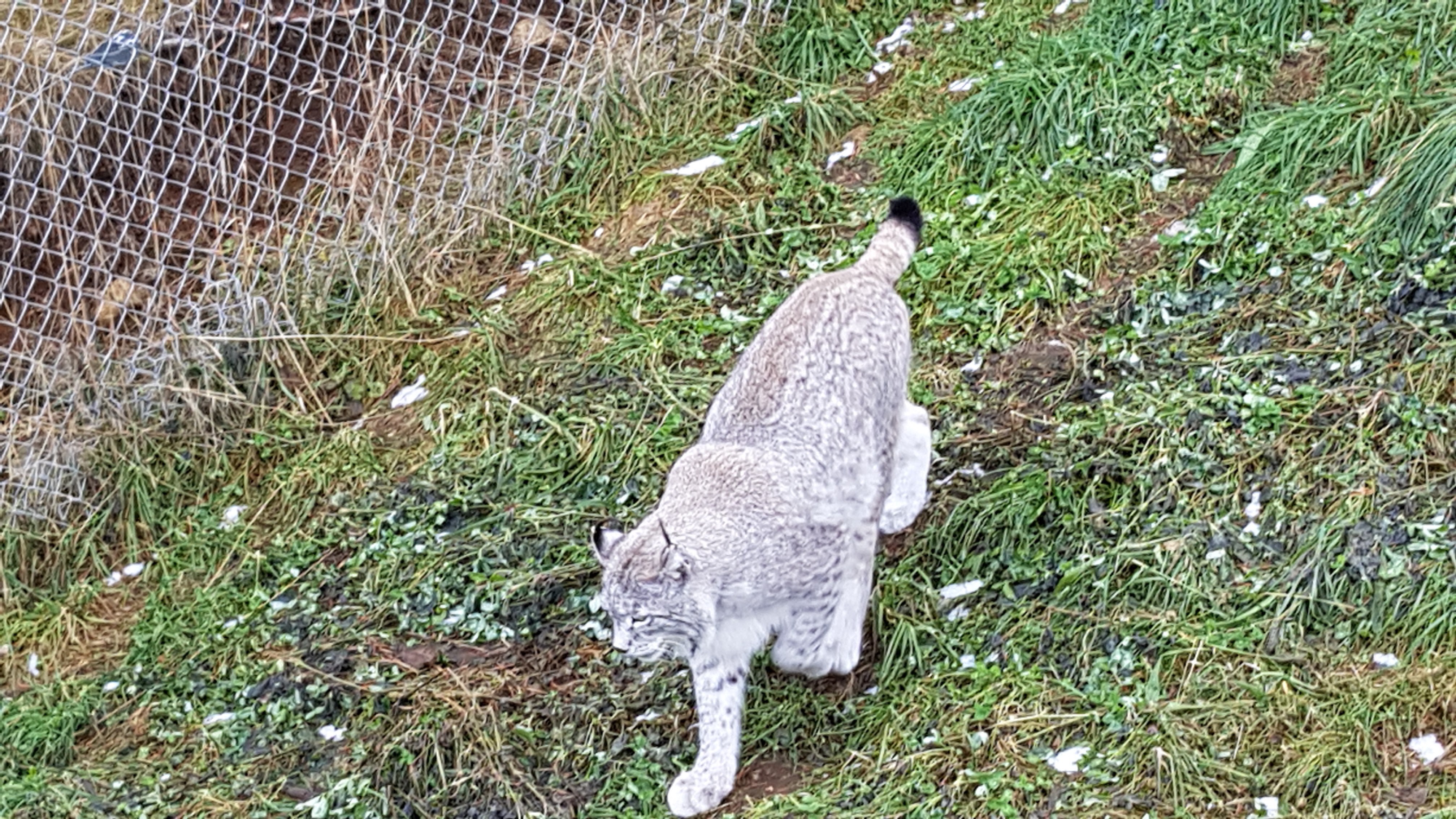 Photo n° 32 de l'avis de Nikolay.H fait le 26/12/2018 à 23:51