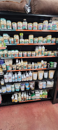 RED DOG PET SUPPLY - Photo 5 - Car repair in Eagle Point, OR, Medford