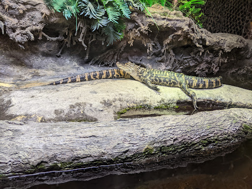 Aquarium «North Carolina Aquarium at Pine Knoll Shores», reviews and photos, 1 Roosevelt Blvd, Pine Knoll Shores, NC 28512, USA