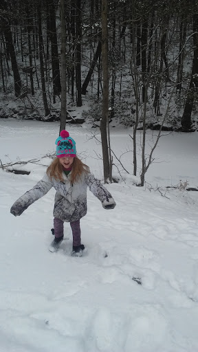 Park «Lykens Glen Park», reviews and photos, 706 Park View Rd, Lykens, PA 17048, USA