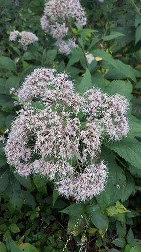 Park «Grandview Park», reviews and photos, 3230 Easton Blvd, Des Moines, IA 50317, USA