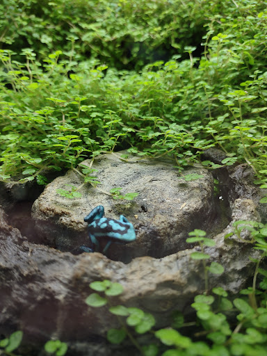 Pet Store «Fins Feathers Paws & Claws», reviews and photos, 436 Main St, Harleysville, PA 19438, USA