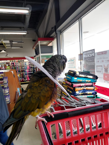 Pet Supply Store «Mellisa’s PET DEPOT», reviews and photos, 83 Faunce Corner Mall Rd, Dartmouth, MA 02747, USA