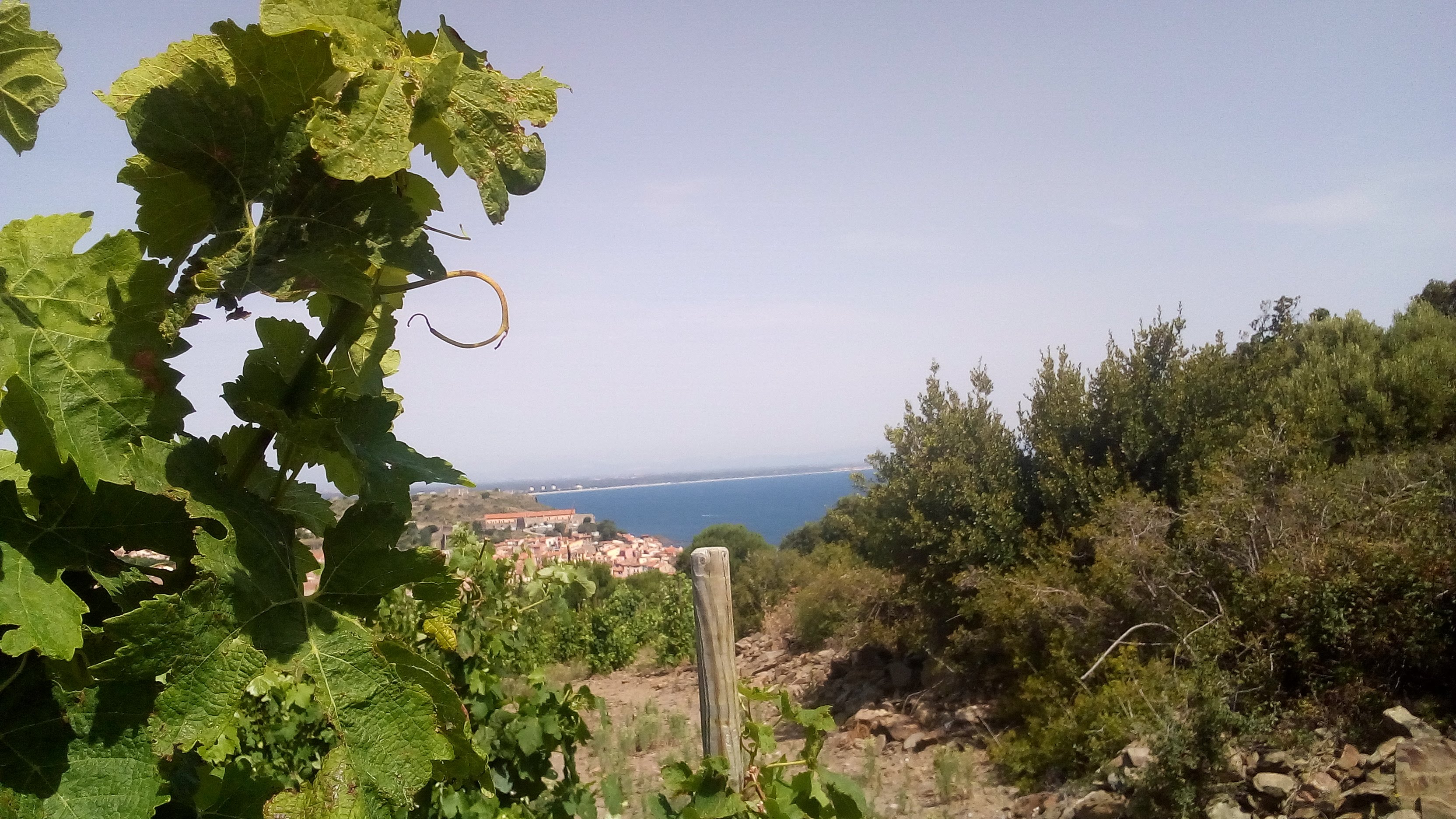 Photo n° 1 de l'avis de Vignaux.h fait le 24/06/2019 à 19:02