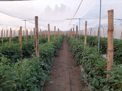Escuela Nacional Central de Agricultura ENCA