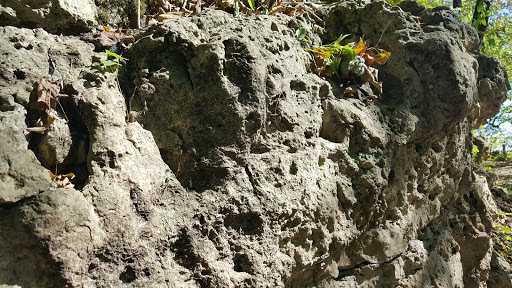 National Park «Effigy Mounds National Monument», reviews and photos, 151 IA-76, Harpers Ferry, IA 52146, USA