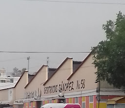 Mercado Gertrudis Sánchez photo