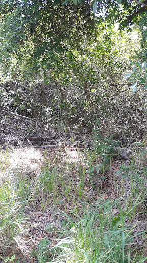 Recreation Center «Ruskin Recreation Center», reviews and photos, 901 6th St SE, Ruskin, FL 33570, USA