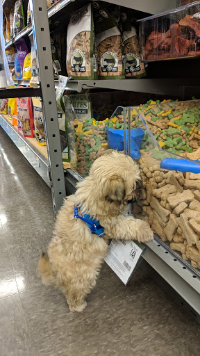 Pet Supply Store «Pet Supplies Plus», reviews and photos, 12407 MoPac Expy 525 - B, Austin, TX 78758, USA