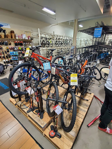 Bicycle Store «Sun & Ski», reviews and photos, 303 Memorial City Mall #326, Houston, TX 77024, USA