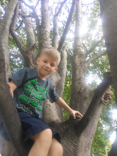 Park «Jergens Park», reviews and photos, 1615 Bruce Ave, Cincinnati, OH 45223, USA