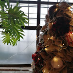 Photo n°2 de l'avis de Severino.a fait le 15/12/2023 à 11:54 sur le  Osteria del Miglio 2.10 à Pieve San Giacomo