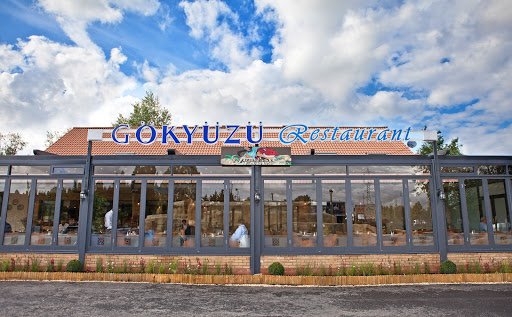 Gökyüzü Restaurant Chingford