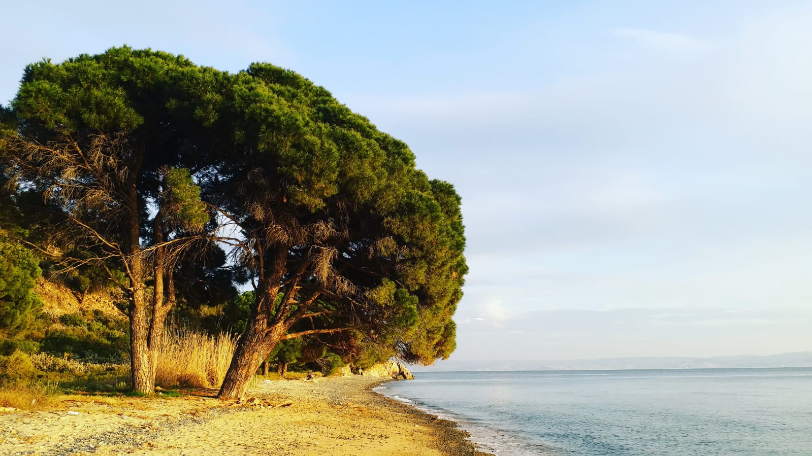 Fotografija Gunay beach z visok stopnjo čistoče