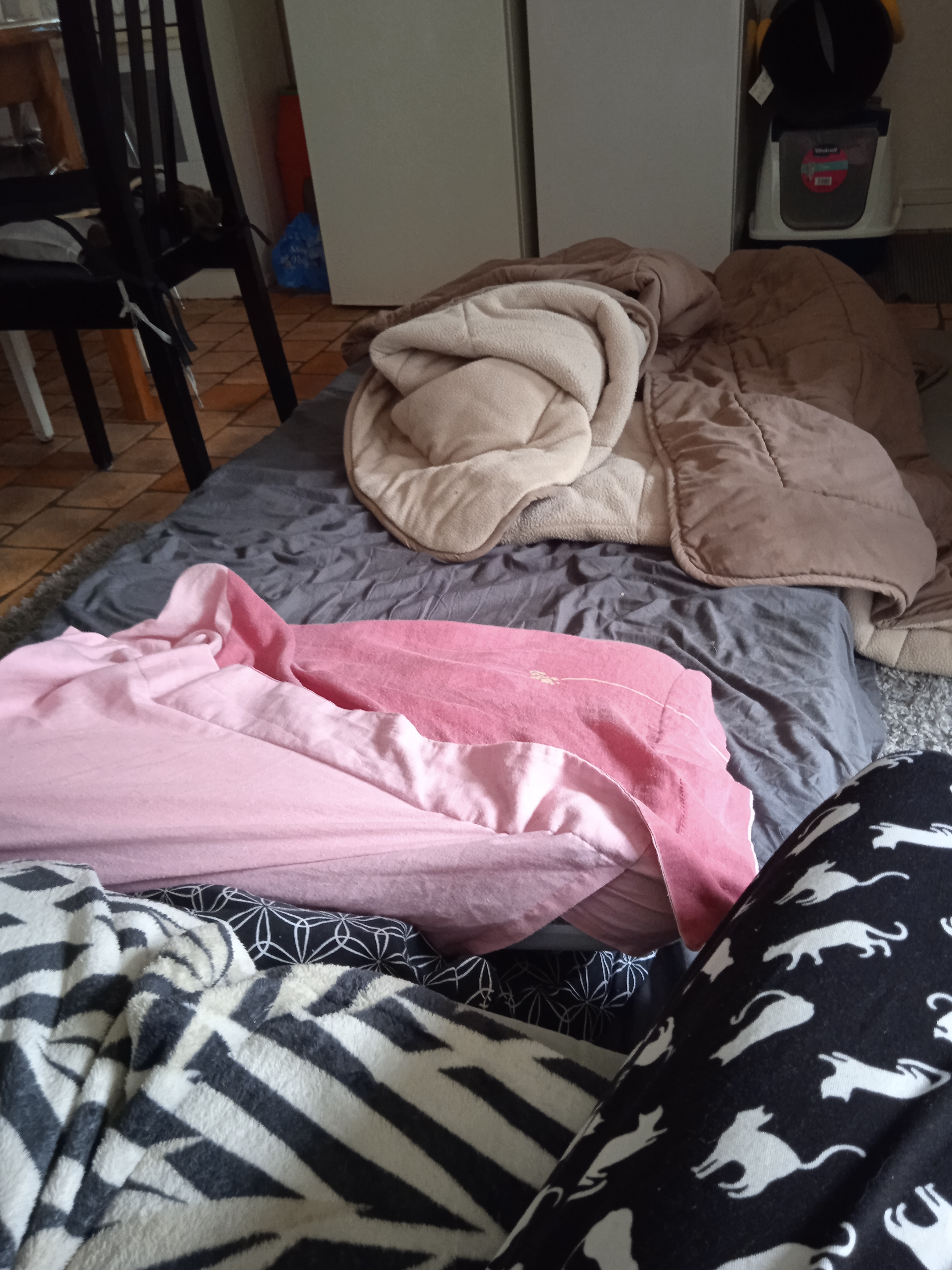 Photo n° 15 de l'avis de Celine.a fait le 01/03/2022 à 07:55