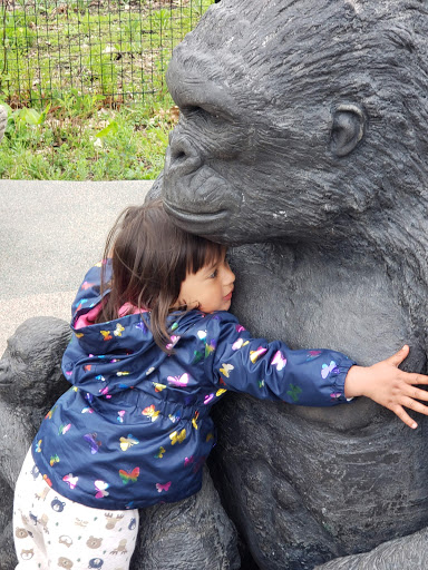 Golf Course «Como Park Golf Course», reviews and photos, 1431 Lexington Pkwy N, St Paul, MN 55103, USA