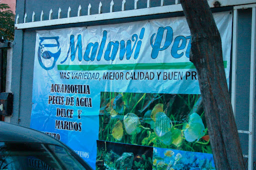 Malawi Pets
