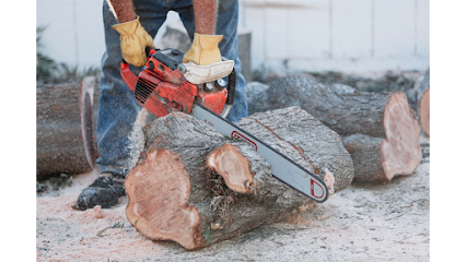 Tr﻿ee Ser﻿vice﻿ Cupertino