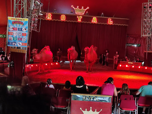 Imperial Royal Circus