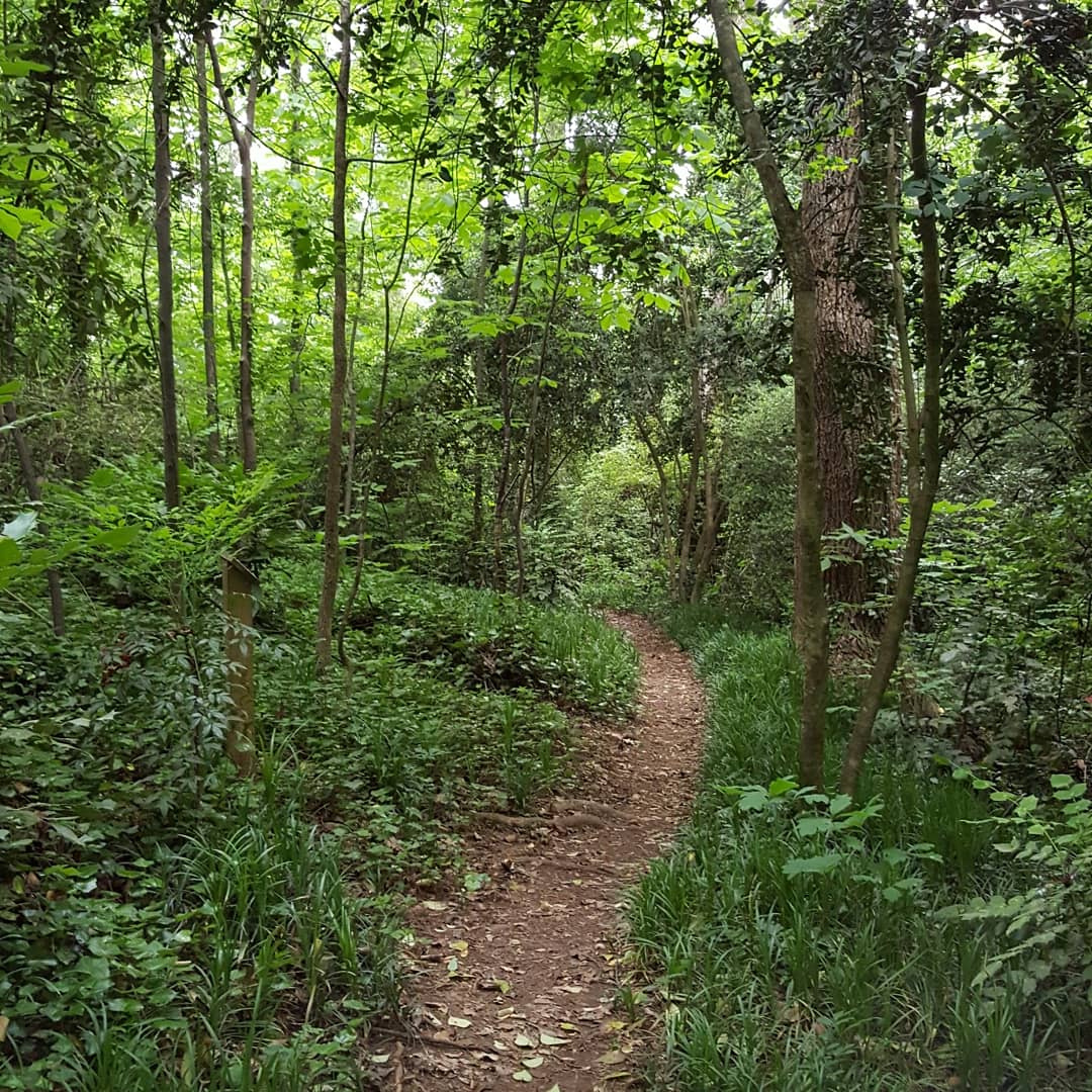 Fernwood Nature Trail