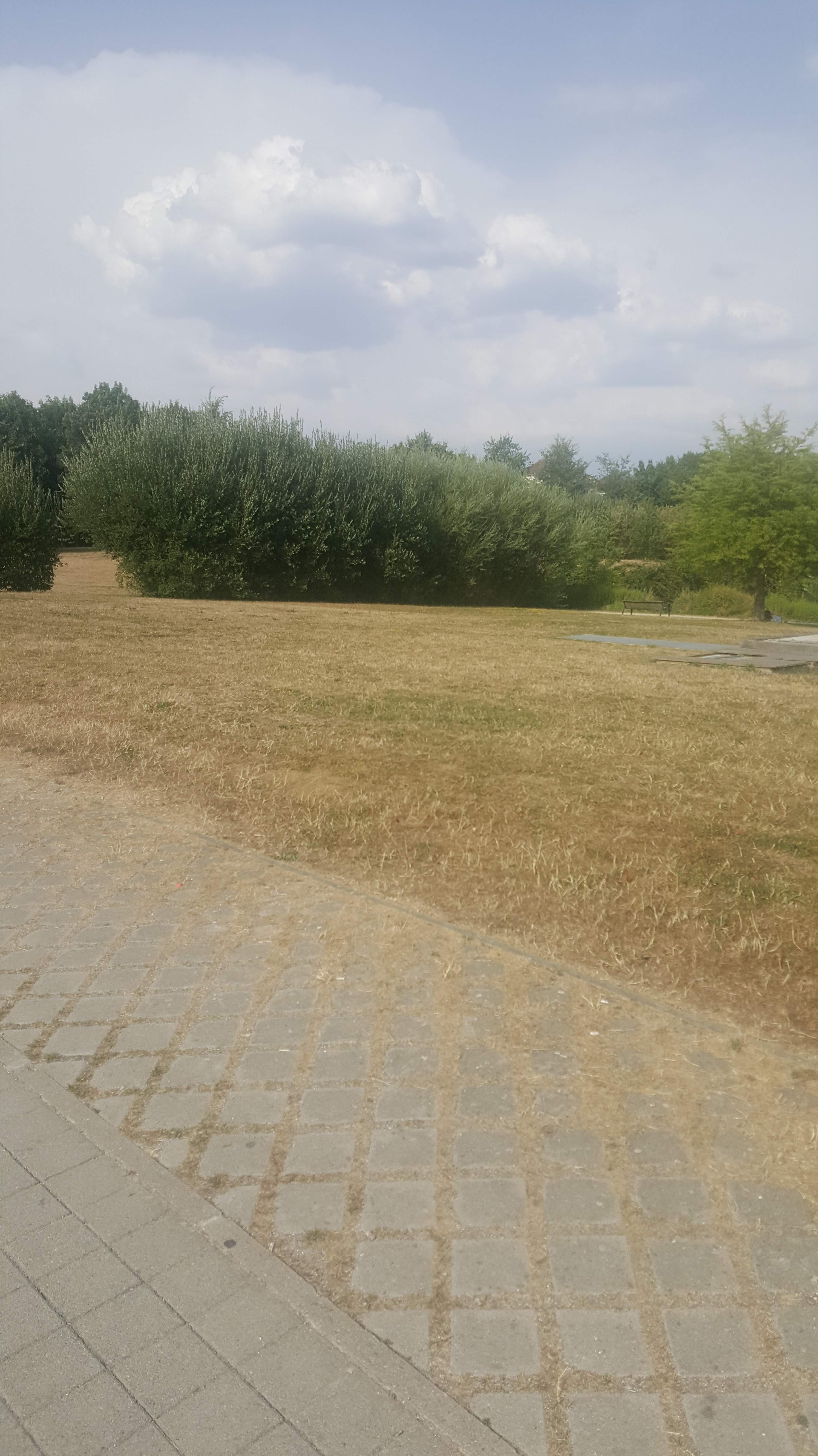 Photo n° 1 de l'avis de Amira.t fait le 13/08/2018 à 08:33