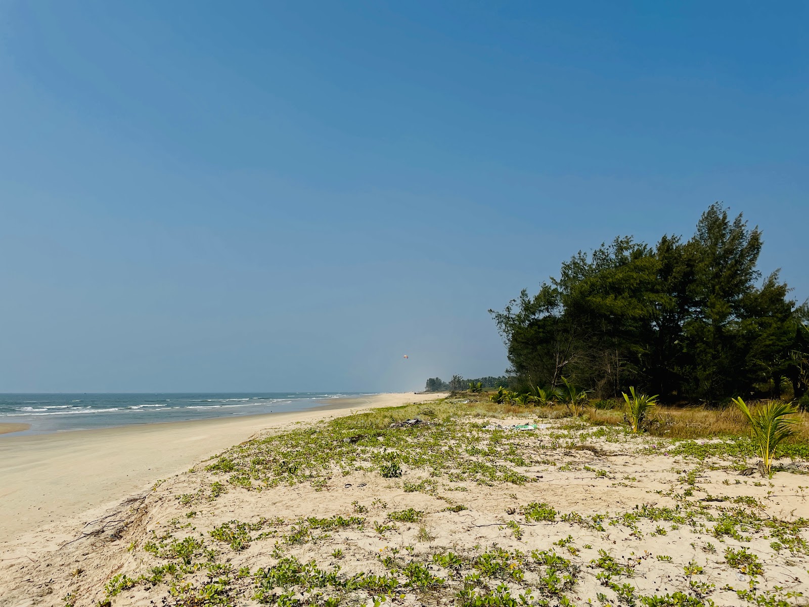 Betul Beach的照片 带有碧绿色纯水表面