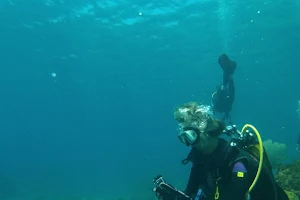 Mada Diving Martinique image