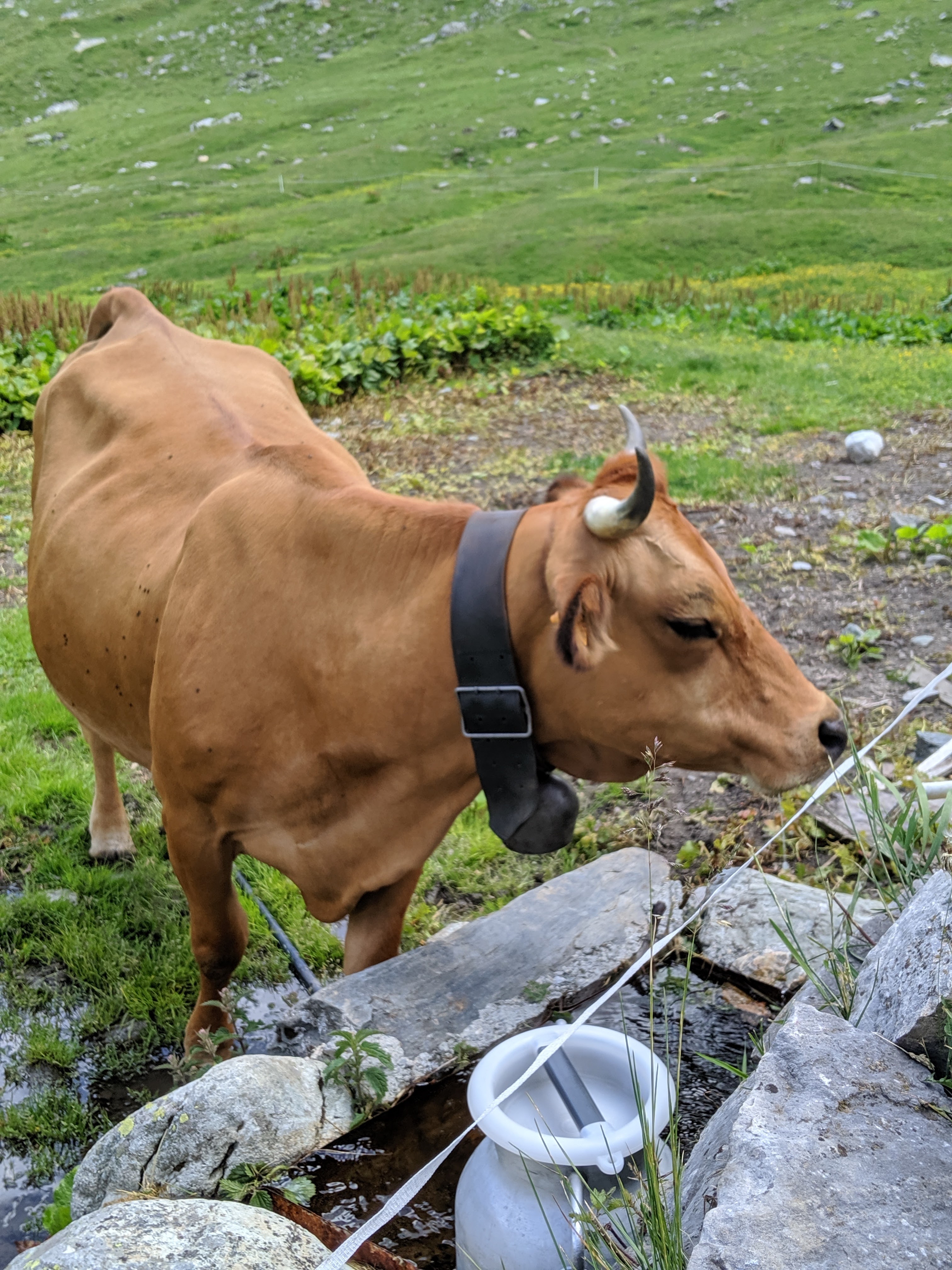Photo n° 3 de l'avis de Fabien.e fait le 16/07/2019 à 19:55