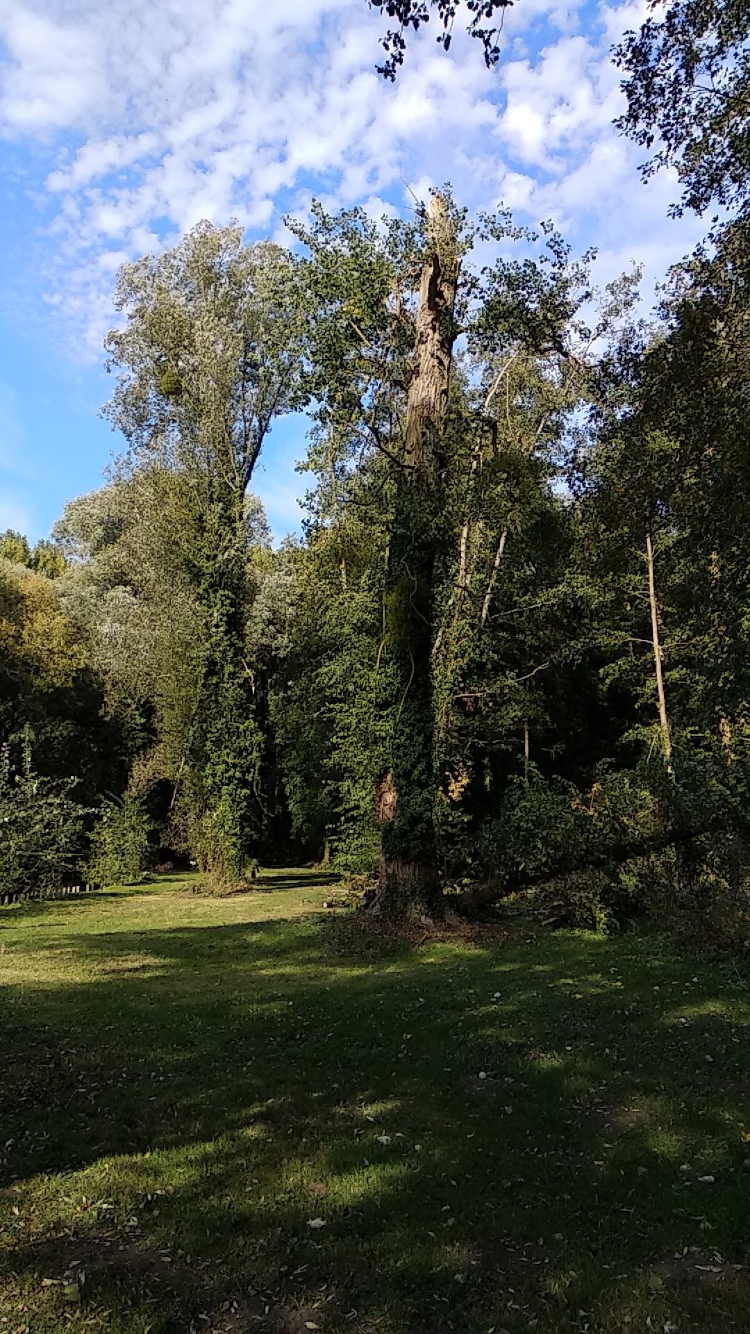 Photo n° 32 de l'avis de Timotée.r fait le 06/10/2018 à 13:14