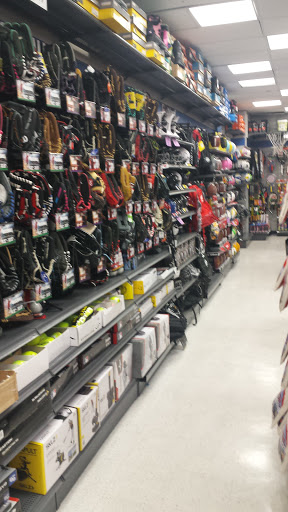Sporting Goods Store «Big 5 Sporting Goods», reviews and photos, 3214 Ming Ave, Bakersfield, CA 93304, USA