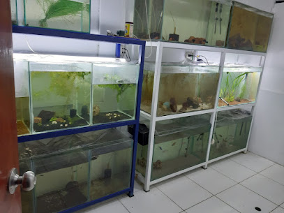 Acuario Aqualife