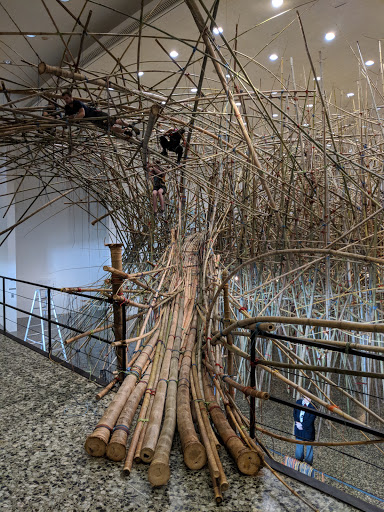 Museum «Museum of Fine Arts, Houston», reviews and photos, 1001 Bissonnet St, Houston, TX 77005, USA