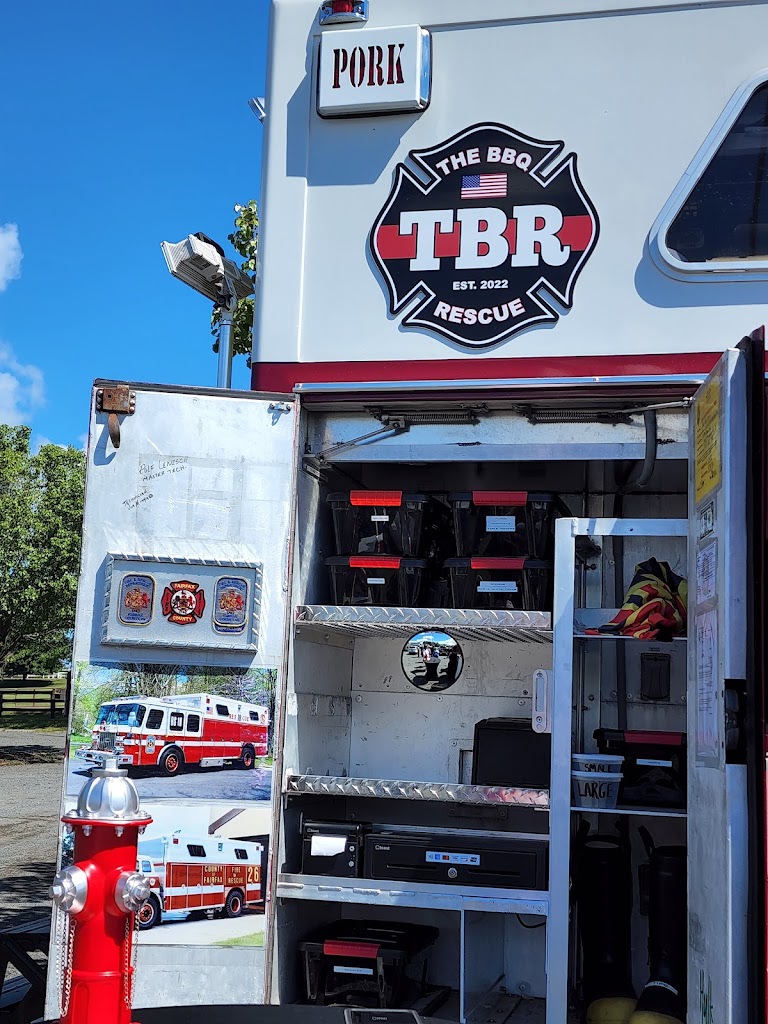 The BBQ Rescue 22734