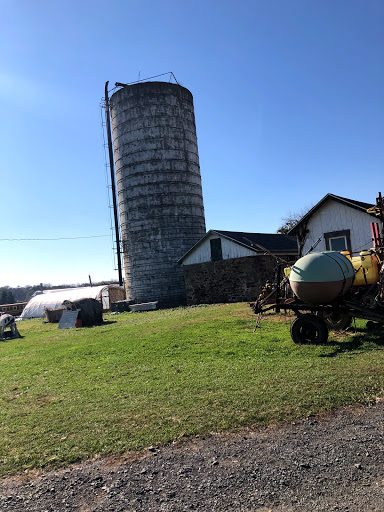 Produce Market «Solly Brothers», reviews and photos, 707 Almshouse Rd, Warminster, PA 18974, USA