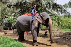 Elephant Village image