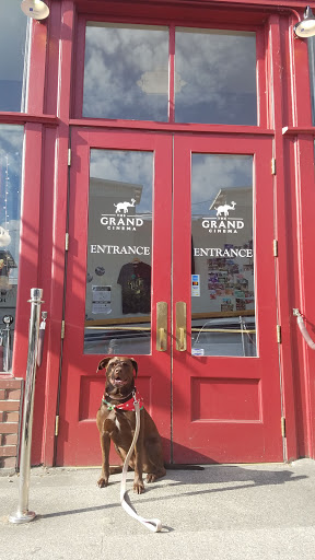 Movie Theater «The Grand Cinema», reviews and photos, 606 Fawcett Ave, Tacoma, WA 98402, USA