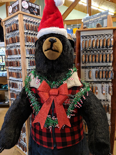 Gift Shop «Mt Lemmon General Store & Gift», reviews and photos, 12856 N Sabino Canyon Park, Mt Lemmon, AZ 85619, USA