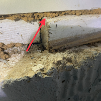 Taylors Pest Kontrol - Photo 3 - Car repair in , Baltimore