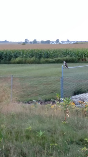 Golf Course «Prairie Bluff Golf Course & Banquets», reviews and photos, 19433 Renwick Rd, Lockport, IL 60441, USA