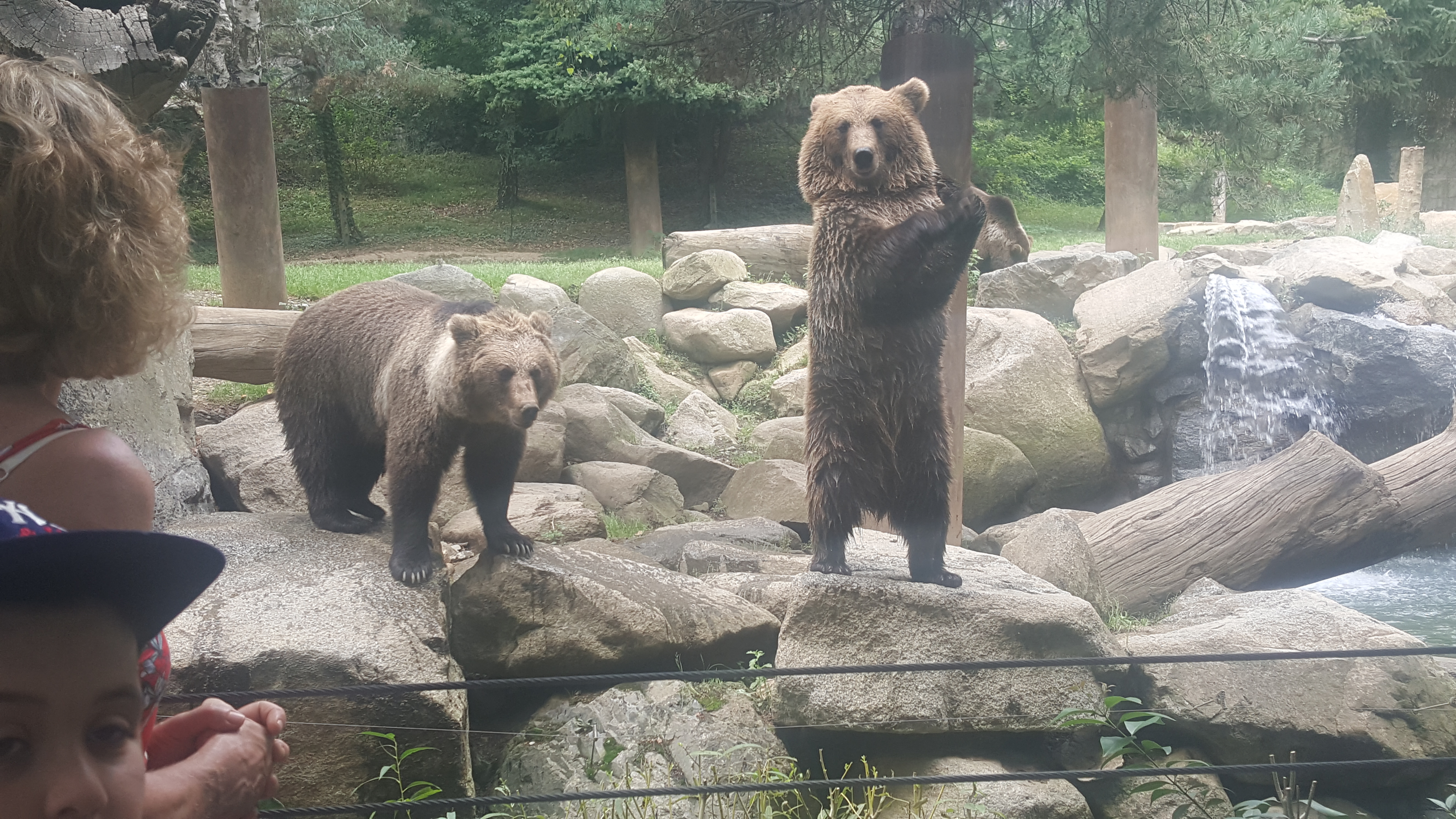 Photo n° 1 de l'avis de Coralie.u fait le 29/09/2018 à 17:41