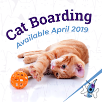 Unleashed Doggie Daycare