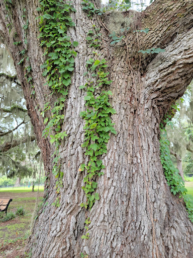 Park «Southside Park», reviews and photos, Southside Park Loop, Beaufort, SC 29902, USA